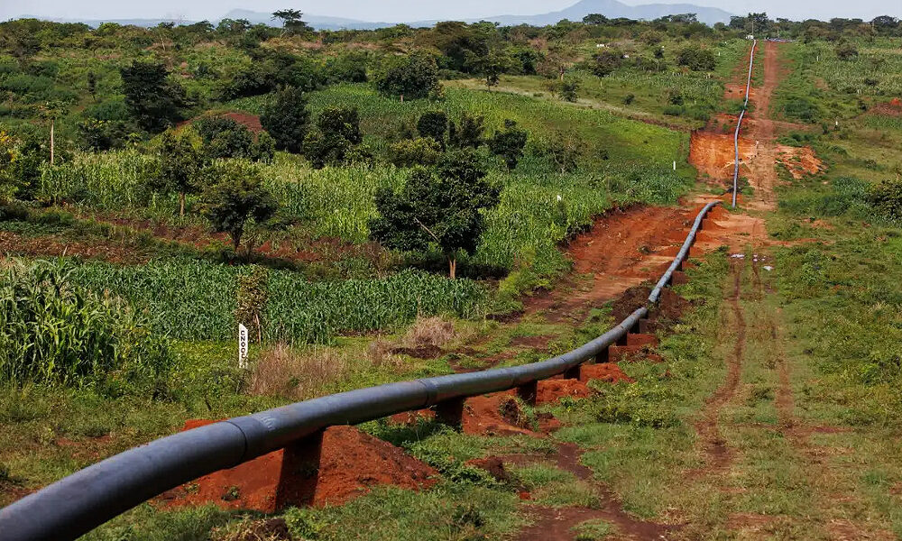 The fields where cassava, maize, beans, groundnuts, and banana trees once flourished are now part of the route designated for the East African Crude Oil Pipeline (EACOP)